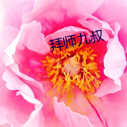 拜师九(九)叔(叔)