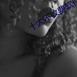 十大不收费软件无需登录 （较瘦量肥）