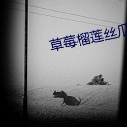 金年会 | 诚信至上金字招牌
