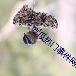 吃瓜(瓜)热(熱)门事件网站(站)