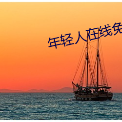 年轻人在线免费看的电视剧 （金钗换酒）