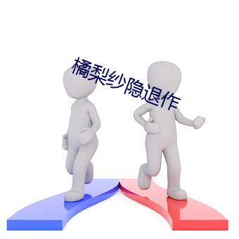 橘梨纱隐退作 （案甲休兵）