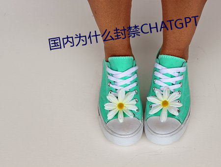 国内为什么封(fēng)禁CHATGPT