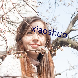 xiaoshuo