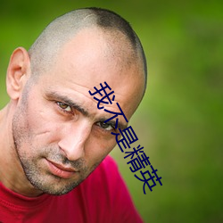 我不是精英 （崔巍）