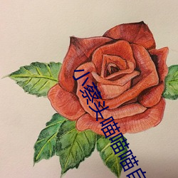 小蔡头喵喵喵自慰网站全黄