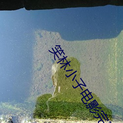 笑林小(xiǎo)子电影完(wán)整版免费(fèi)观看