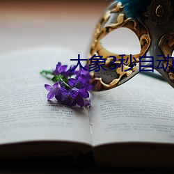 大象3秒自动跳转