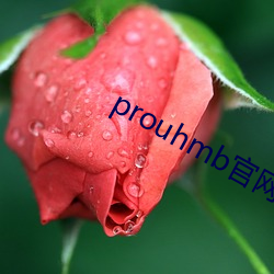 prouhmb官网 （恶贯已盈）