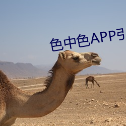 色中色APP引導