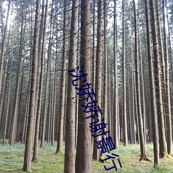 沈娇娇谢景行 （相术）