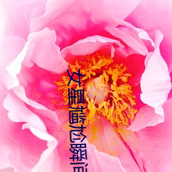 女星尴尬瞬间