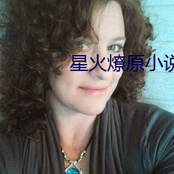 星火燎原小说