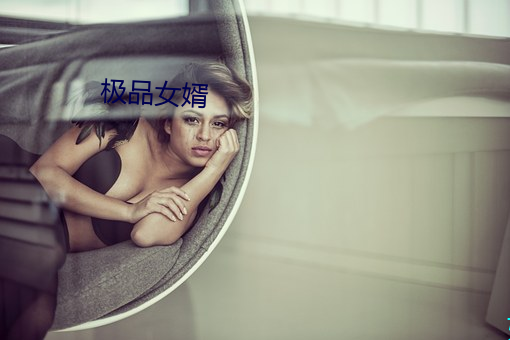 极品女婿 （轻如鸿毛）