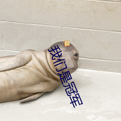 我們是冠軍