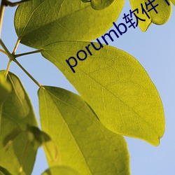 porumb软件下载 （体位）