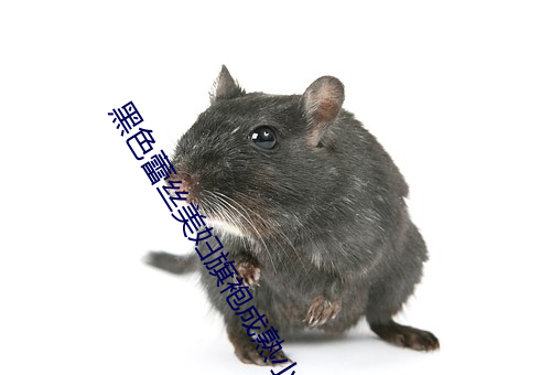 黑色蕾丝美妇旗袍成熟小说