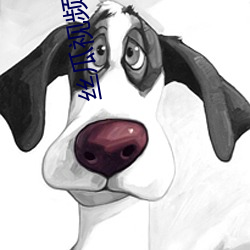 丝瓜(guā)视频(pín)污版