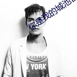 你是我的城池营垒全集资源免费看