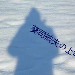 葵司被夫の上司434