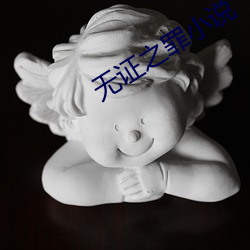 無證之罪小說