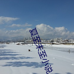 夏至未至小說