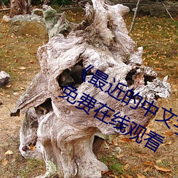 《最近的中文字幕2019國語》完整版免費在線觀看