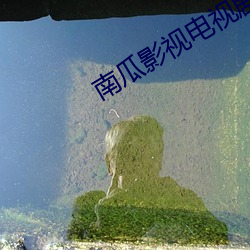 南瓜影视电视剧免费观看