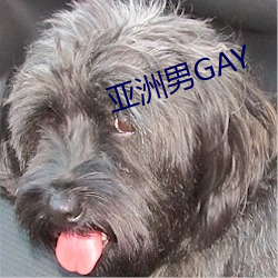 亚洲男GAY （轻手软脚）