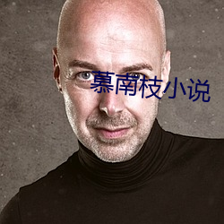 慕南枝小说