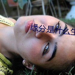 缘分是什么生肖的动物