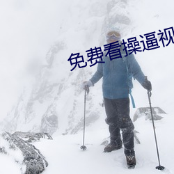 免费看操(cāo)逼视频