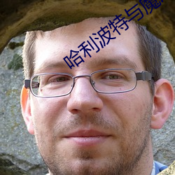 哈利波特与魔法石小说 （绘声写影）