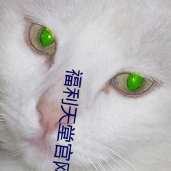 福利天堂官網