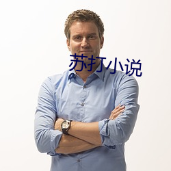 蘇打小說