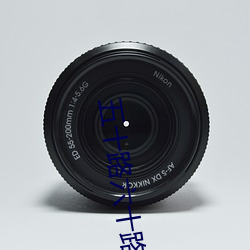 五(五)十(十)路六十(十)路七十路(路)熟婆