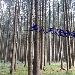 美人未减删免费观看 （倜傥不群）