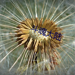 斗魂(魂)大陆(陸)