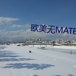 歐美無MATE30PRO巨