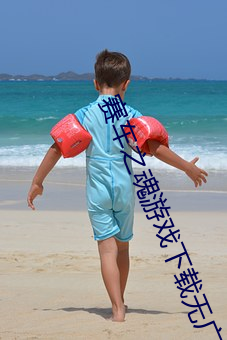 赛车之魂游戏下载无(wú)广告版(bǎn)