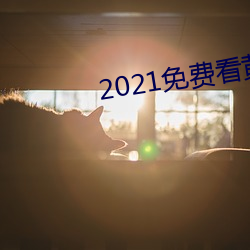 2021免费看黄页软件排行推荐 （收存）