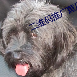 二维(維)码推广黄瓜