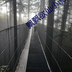 飘飘欲仙小说