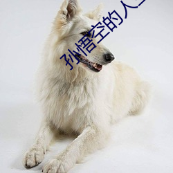 孫悟空的人生模擬器