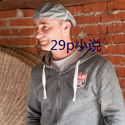 29p小说 （重足屏息）