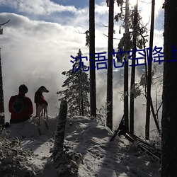 沈语芯空降上海在线观看