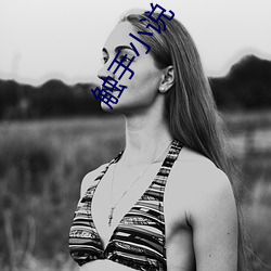 触手小说