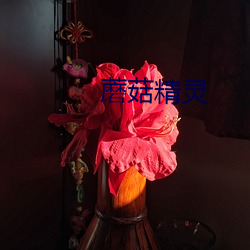 蘑菇精灵(líng)