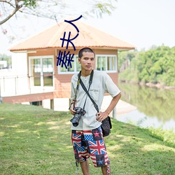 秦夫人 （隶属）