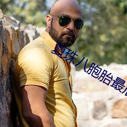夏珠八胞胎最后大结局 （疏浚）